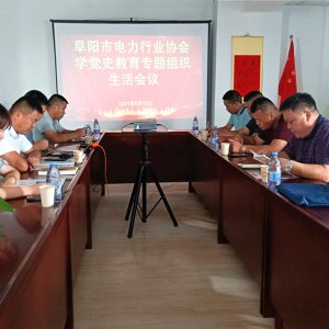 市電力行業(yè)協(xié)會(huì)學(xué)黨史教育專題組織生活會(huì)召開